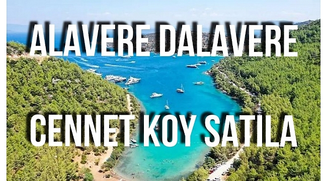 Cumhuriyet gazetesi yazarı Barış Terkoğlu milletin Cennet Koyu’nun Mehmet Cengiz’in Koyu’na nasıl dönüştüğünü yazdı
